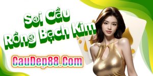 Soi cầu xổ số 247 ngày 09/08/2026 miễn phí chính xác nhất